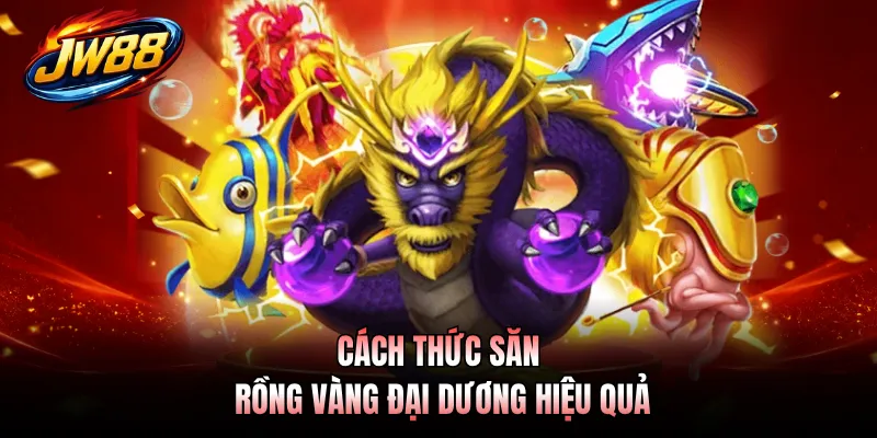 Cách thức săn rồng vàng đại dương hiệu quả